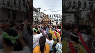 2024 まえだ まえだ 浦安三社例大祭 豊受神社  西組 本社神輿 浦安三社祭 迫力満点  令和6年  #shorts