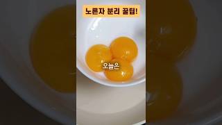 계란 노른자 분리하는 방법 6가지(세 개 성공🤦)