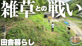 【草刈り】梅雨の1ヶ月草刈りをサボって草でボーボーの庭をスッキリさせる！【＃２５】