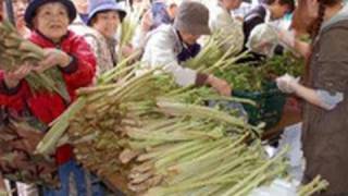 森の恵みで元気モリモリ　芦別・林産フェス（2011/05/21）　北海道新聞