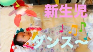 新生児が回るベビージムに釘付け！音楽に合わせて踊るあかちゃんが可愛すぎる！生後1ヶ月Newbornbaby dance