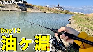 【バス釣り】春の油ヶ淵で定番ルアーを投げたら・・・