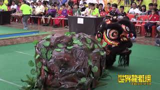 马来西亚龙田武术龙狮团