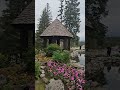 trip to banff alberta 🙌 blessings love nature shortvideos grateful gurbani viralvideo