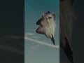 su 57 strike again shorts topgun