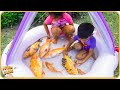 2 Kids VS 6 Fish Fight | Arbin Javan