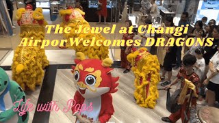 The Jewel at Changi airport, welcomes Dragons HD