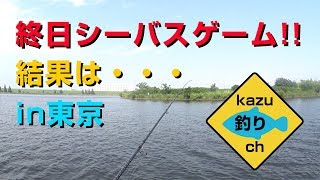 都内を回り　終日シーバスゲーム釣り〜荒川・新河岸川・東京湾河口〜