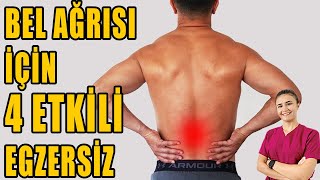 BEL AĞRISI İÇİN 4 ETKİLİ EGZERSİZ #aktifizyo #fiziktedavi #belağrısı