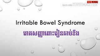 Irritable bowel syndrome (IBS) ឬ រោគសញ្ញាពោះវៀនឆាប់ខឹង