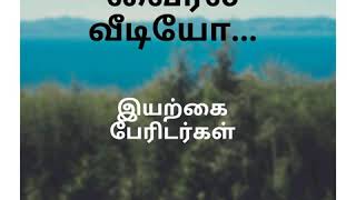 வைரல் வீடியோ.இயற்கை பேரிடர்