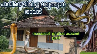 ഏത് കൊടിയ വിഷവും ഇവിടുന്നു പടിയിറങ്ങിയിരുന്നു ഈ തറവാട്ടിൽ ഇപ്പോഴും നാഗം ഉണ്ട്