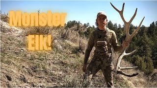 Searching for Montana Elk Sheds!