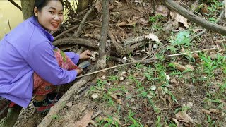 เก็บเห็ดปลวก กับอิเจ๊ สายแดก หลายคือเก่า | ມຸດຈໍມາເກັບເຫັດປວກນຳກັນເດີ.