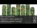 Biosecurity Bonanza: The PCE’s call to action on native ecosystem weeds