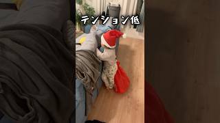 クリスマスプレゼントが届くも全然喜んでいない赤ちゃん#子供向け #子供おもしろ動画 #子育て#癒し#おもしろ動画 #リアクション #家遊び #赤ちゃん #2歳#子供