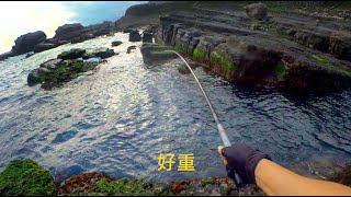 海菜長出來了，釣到不少魚種，界標潛點 釣況分享 20200214 [嘟嘟釣魚狂#63]