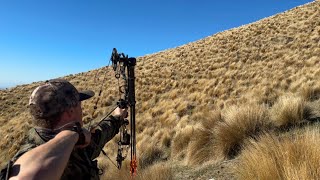 Bow Hunting NZ | Mathews Mission Ballistic 2 vs Feral Goats