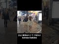 강남 韓国夜のクラブ街歩き korean fashion shorts