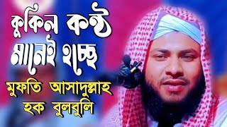 Mufti Asadullah Haque Bulbuli Assam || New Waz 2024 || imani kontho