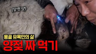 몽골 산골 양젖 짜먹고왔습니다 (3)