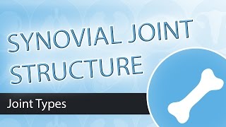 Synovial Joints