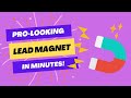 Create a Lead Magnet in MINUTES | Step by step example for authors and self-publishers