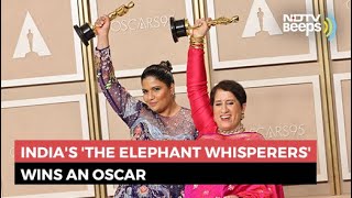 The Elephant Whisperers Wins An Oscar: 5 Reasons Why This Is Iconic | NDTV Beeps