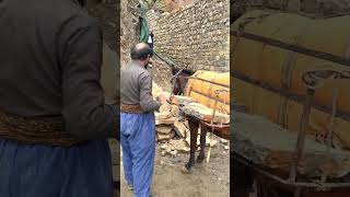 Carrying stones with a mule