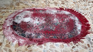 Washing a carpet full of sauce ASMR! Horrible dirty the cuttest carpet cleaning asmr satisfying