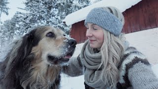 My Quiet Life with Nanook in the Frozen North