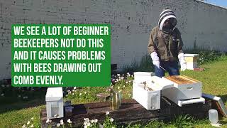 Step By Step On How To Install a Nuc or Nucleus Hive of Bees