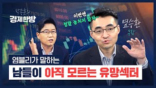 염플리가 말하는 6월 남들이 아직 모르는 유망섹터 (염승환)