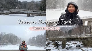 South Korea EP 1  |  Odaesan National Park | Ladytata