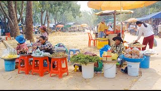 Cambodia Countryside Street Food at Oudong Market, Kandal Province, Phnom Penh, \u0026 More