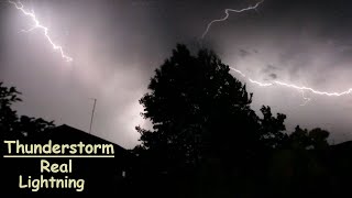Real Thunderstorm Sounds Atmosphere for Sleeping & Relaxing | Real Lightnings behind the tree