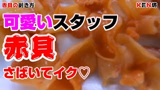 赤貝のさばき方【可愛いスタッフがさばく♡】