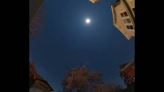 Leonid Time Lapse 24