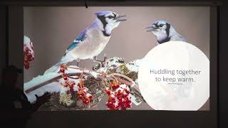 How Birds Survive the Winter with Stan Tekiela - 2022 Wild Bird Expo