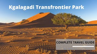 Kgalagadi Transfrontier Park, South Africa - Complete Travel Guide - Wildlife Preserve