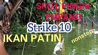 Fishing, catfish, spot, edge of pond, Strike 1-10 tails, non-stop