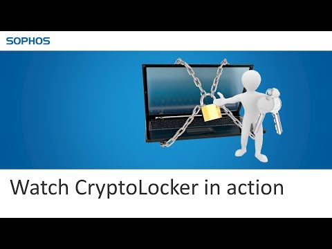 See CryptoLocker in action