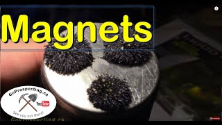 Using a Magnet to remove Magnetite from Concentrates