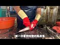 無刺虱目魚，老師傅快刀取魚肚｜milkfish cutting skills taiwan seafood 無刺虱目魚