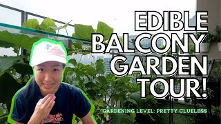 EDIBLE BALCONY GARDEN TOUR IN JAKARTA | SEPTEMBER GARDENING DIARY 2021