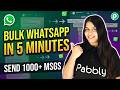 How to Send Bulk WhatsApp Messages in 5 Minutes