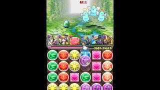 【パズドラ】Sランク ケリ姫コラボ Sランク【L闇ヨミF光アヌビス】