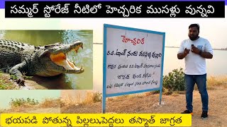 నీటిలో ముసలి వుంది పిల్లలు జాగ్రత#kurnool #family #viral #trending #helthtips #mummy #support #vedio