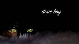 LYRICS | Dixie Boy - April Smith & the Great Picture Show