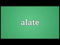 alate meaning